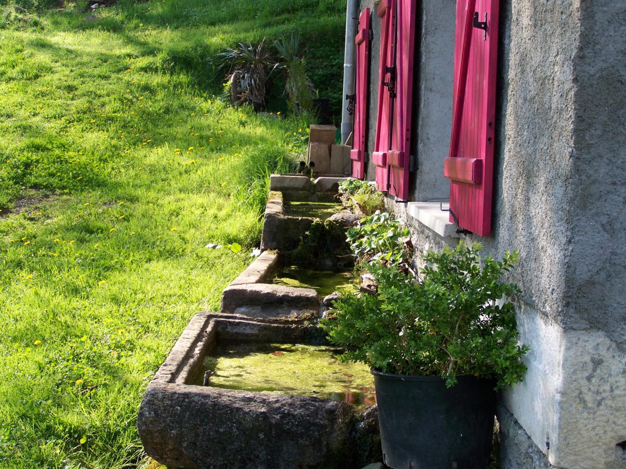 Les abreuvoirs devant la fenêtre